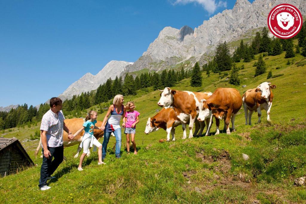 Apartments Haus Huber Mühlbach am Hochkönig المظهر الخارجي الصورة