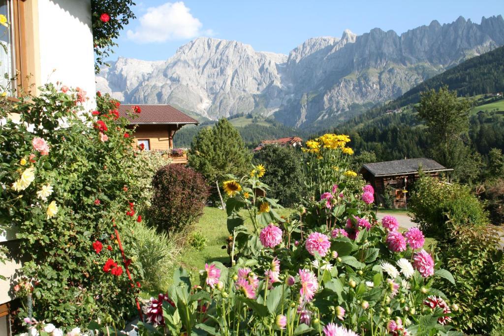 Apartments Haus Huber Mühlbach am Hochkönig المظهر الخارجي الصورة