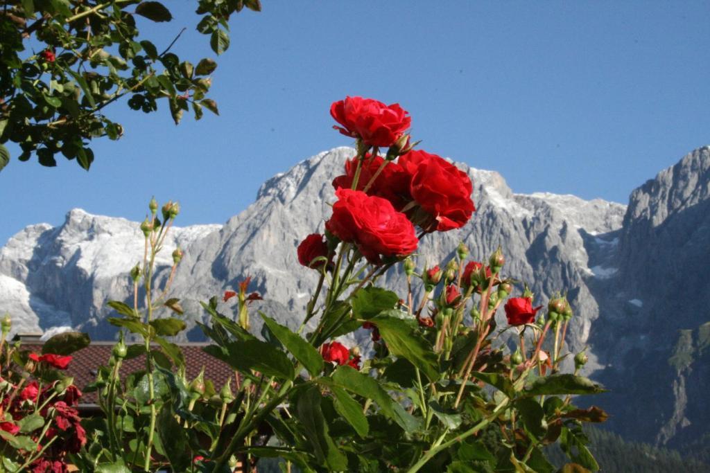 Apartments Haus Huber Mühlbach am Hochkönig الغرفة الصورة